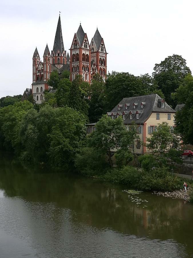 Ferienhaus Am Park Villa Диц Екстериор снимка